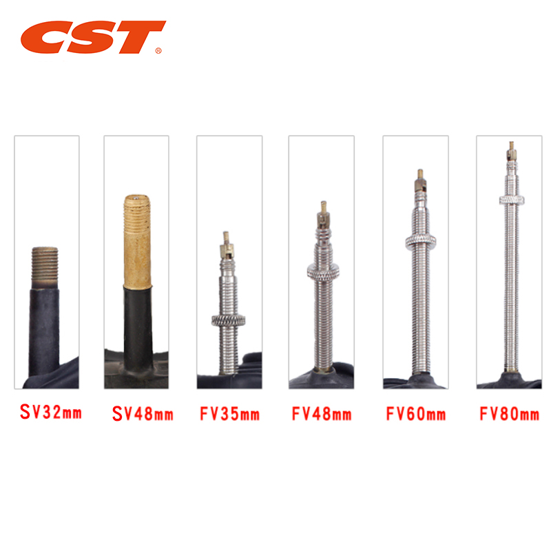 2PCS CST Bike Inner Tubes 20in - Inner Tube 700C 评论和价格